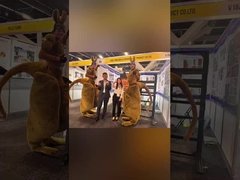 Rewarding Trip to Sydney Build Expo