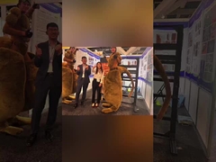 Rewarding Trip to Sydney Build Expo